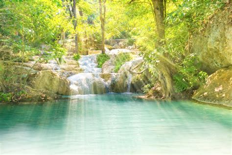 Paisagem Tropical? Um Estudo Vibrante em Tons de Verde Esmeralda e Azul-Turquesa!